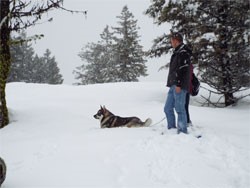 Jamthund in the Snow with Beth and Russ