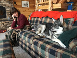 Rico, Swedish Elkhound Male and Owner Beth