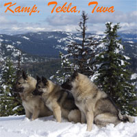 Kamp, Tekla and Tuva Winter Hiking