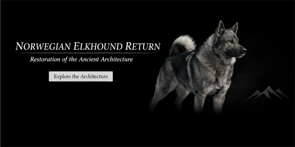 Norwegian Elkhound Return Program