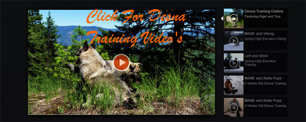 Click To View Desna Training Videos