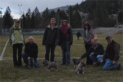 4 Norwegian Elkhounds
