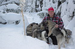 Norwegian Elkhound Females and Merv Carlson