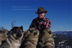 Kamia Kennels Elkhounds and Merv Carlson