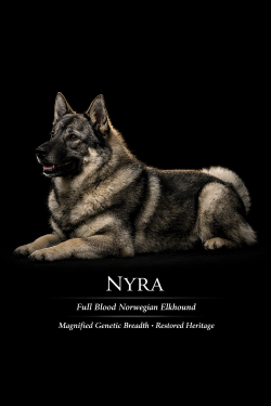 Nyra